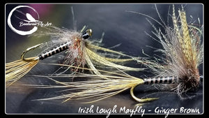 Irish lough mayfly - Ginger Brown