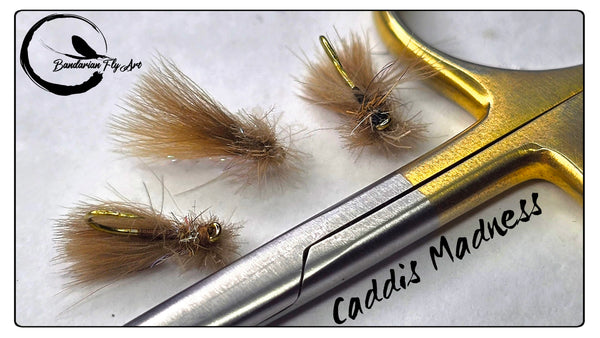 Caddis Madness