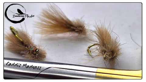 Caddis Madness