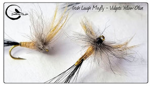 Irish lough mayfly - Vulgata Yellow Olive
