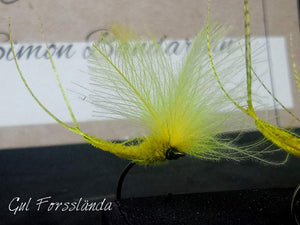 The two feather Mayfly - Gul Forsslända