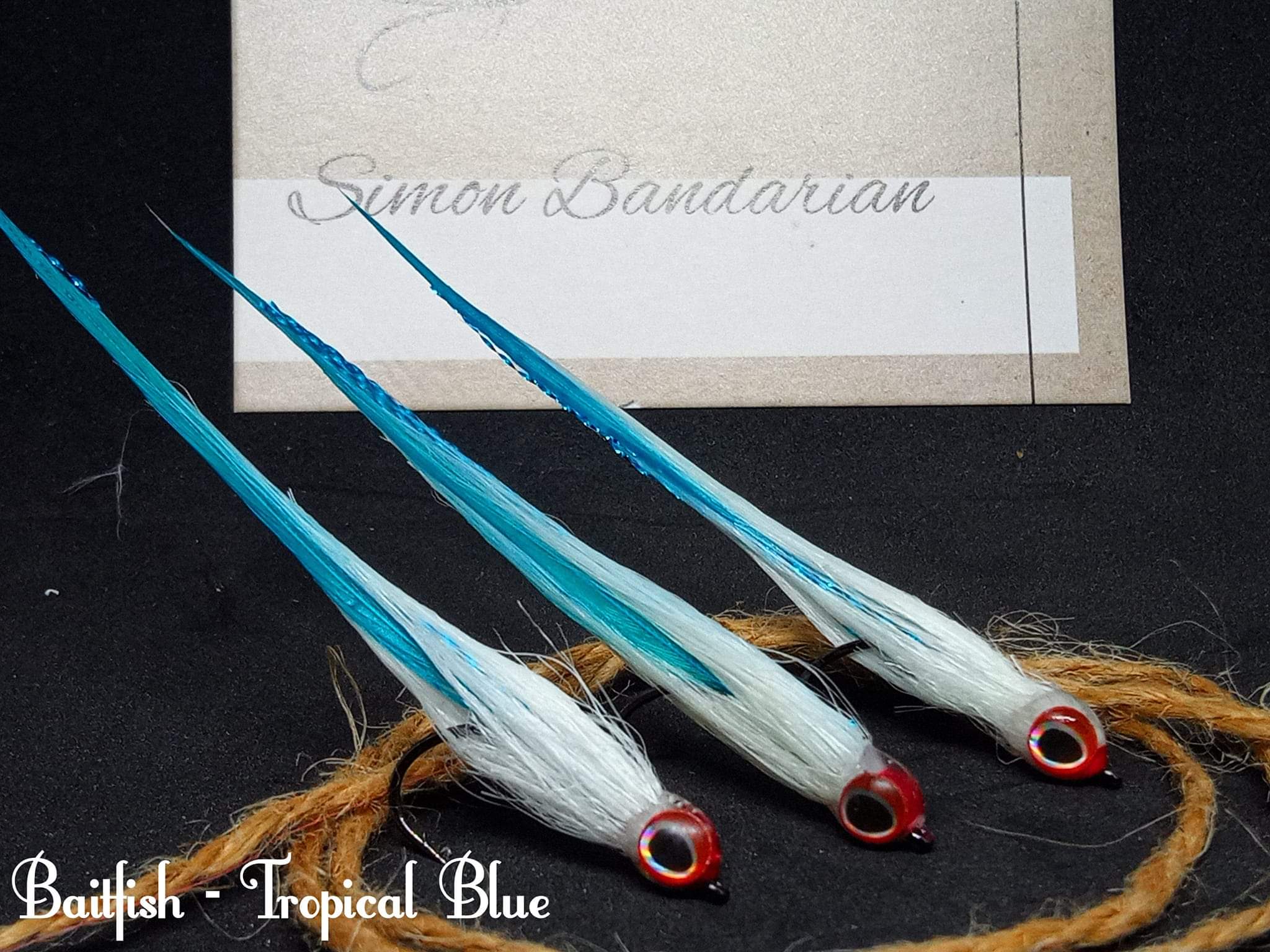 Baitfish - Tropical Blue