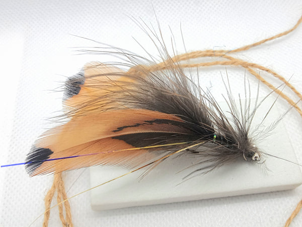 Double wing - black tip brown